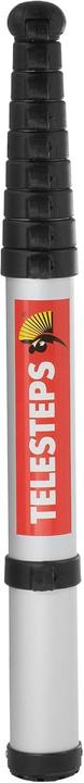 Actual product image Telesteps Eco Line ladder (Telescopic ladder, 300 cm)