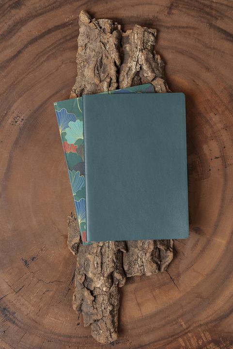 Image du produit Clairefontaine Ginkgo Set 2 Notizhefte (A5, À rayures, Couverture souple)