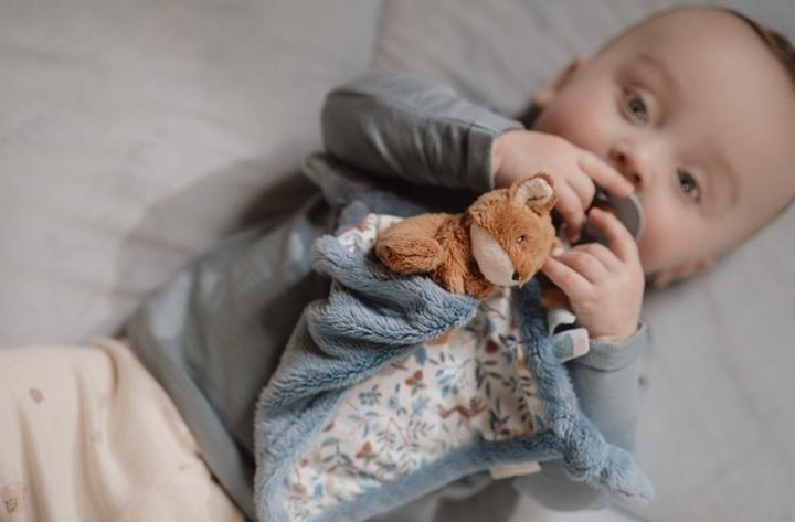 Produktbild Little Dutch Kuscheltuch Fuchs Forest Friends GRS bunt