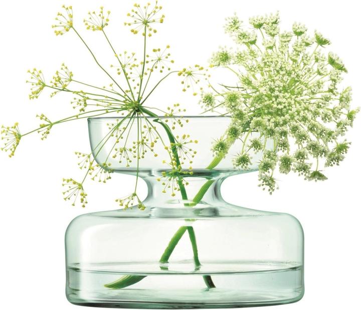 Image du produit LSA Canopy Vase/plante d'oignons H10cm - recy. optique (1 x)