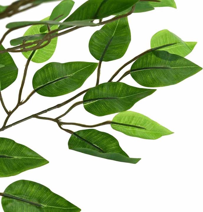 Produktbild vidaXL Ficusbaum (200 cm)