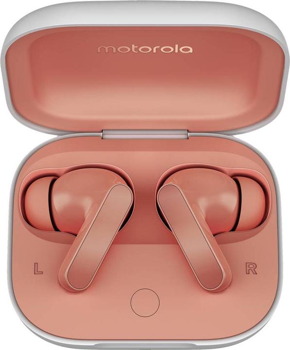 Actual product image Motorola moto buds (ANC, 42 h, Wireless)