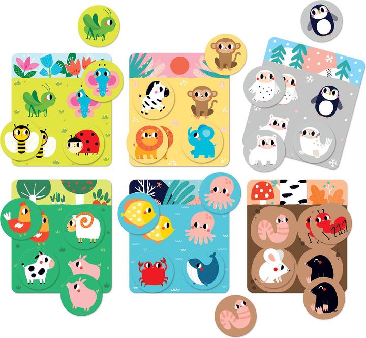 Produktbild Banana Panda spielen wir Lebensraum Bingo 2+ (Englisch, 2 - 6 Spieler)