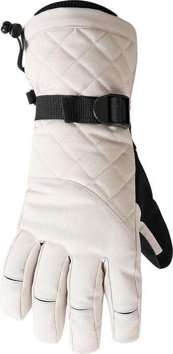 Produktbild Regatta Summit Skihandschuhe Wasserfest (L)