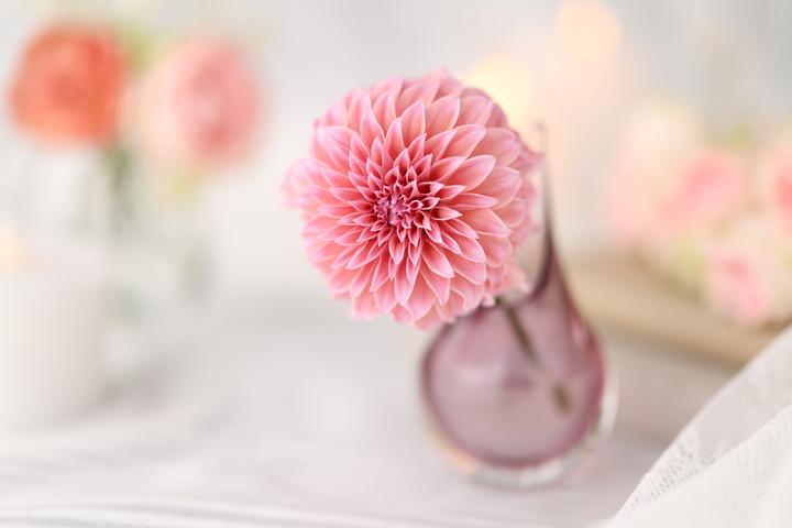 Produktbild Canon RF 85mm F1.4 L VCM (Canon RF, Vollformat)