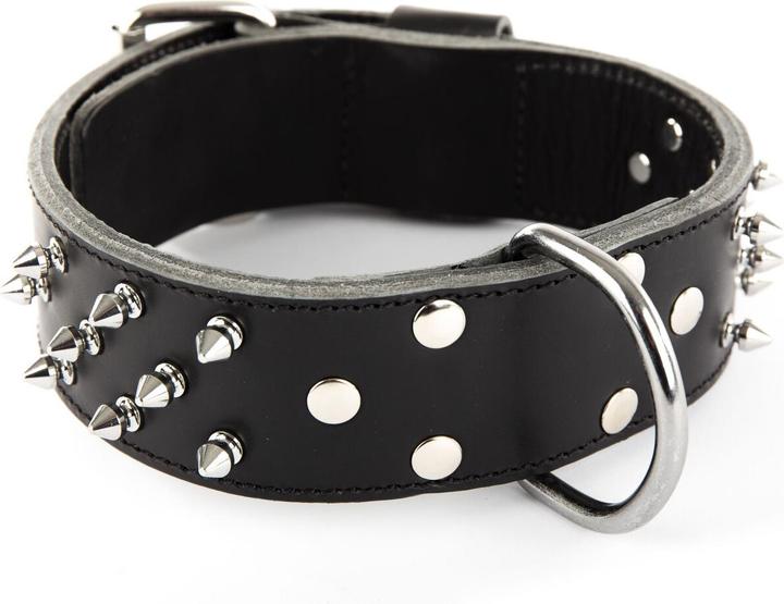 Produktbild Martin Sellier Nietenhalsband aus Rindsleder für Hunde (Hund, Hundesport)