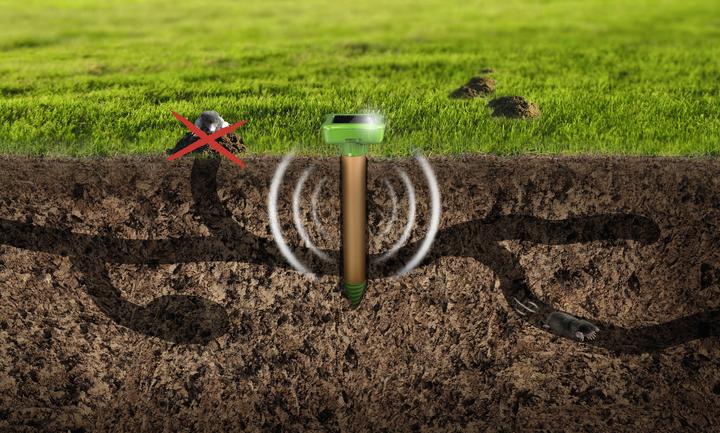 Actual product image Gardigo Wühlmausvertreiber r Wühlmaus Ameisen Abwehr