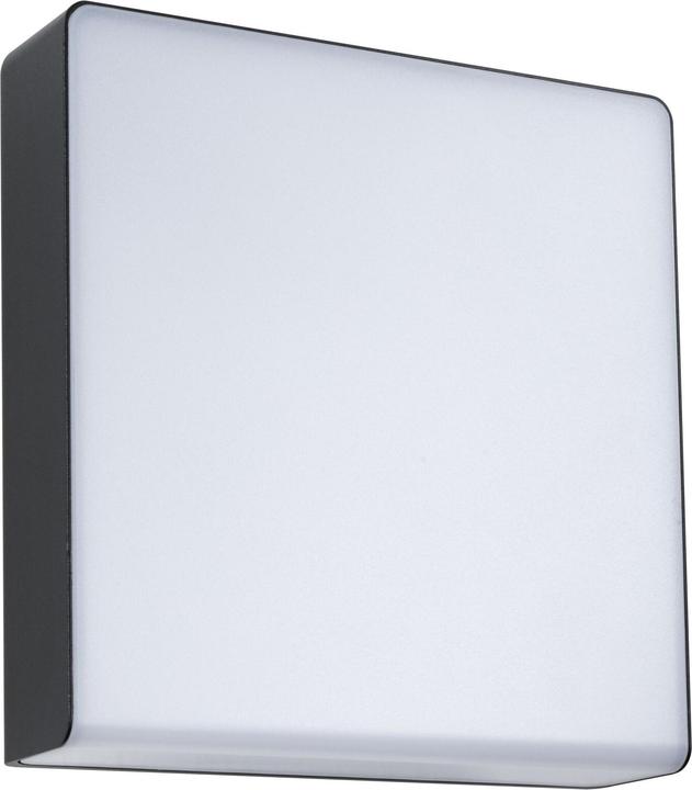 Produktbild Paulmann Azalena (700 lm, IP44)