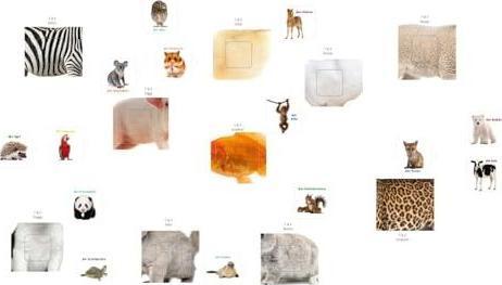 Image du produit Ma caresse