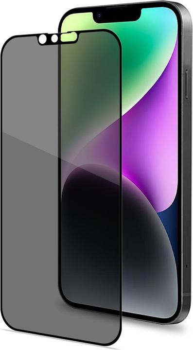 Privacy Full Glass