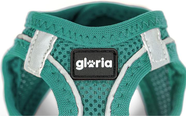 Produktbild Gloria Hundegeschirr Trek Star 27-28 cm 31-34,6 cm türkis XS (XS, Hund)