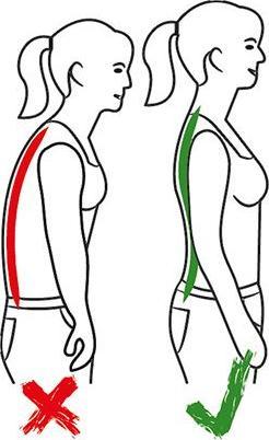 Produktbild Hydas Geradehalter mit Schulterbandage Grösse M (M)