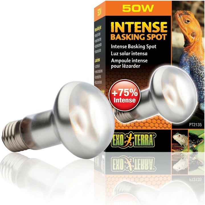 Image du produit Exo Terra Sun Glo Heat Spot Lamp TB 50W (UVA)