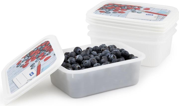 Image du produit Rotho Gefrierdosen Set (0.50 l)