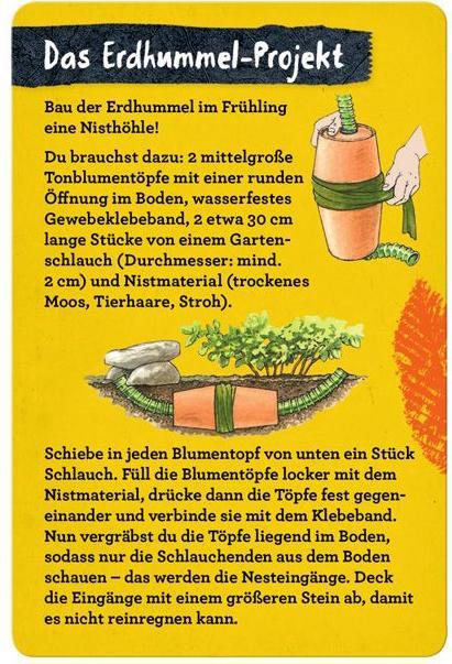 Produktbild Die Spiegelburg 50 Insekten, Spinnen & Co. (Deutsch, Manfred Rohrbeck, Holger Haag, 2021)