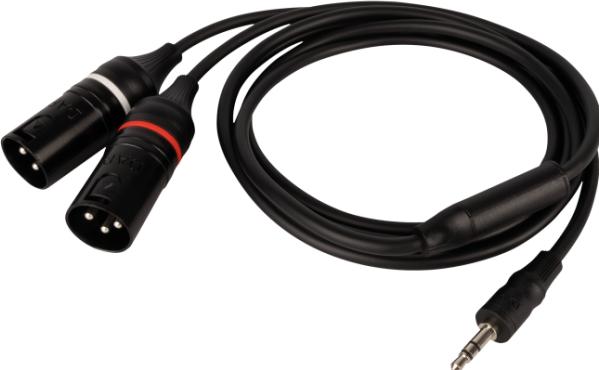 DAP-Audio FL120 - Stereo-Miniklinkenstecker, auf 2 XLR/M 3P