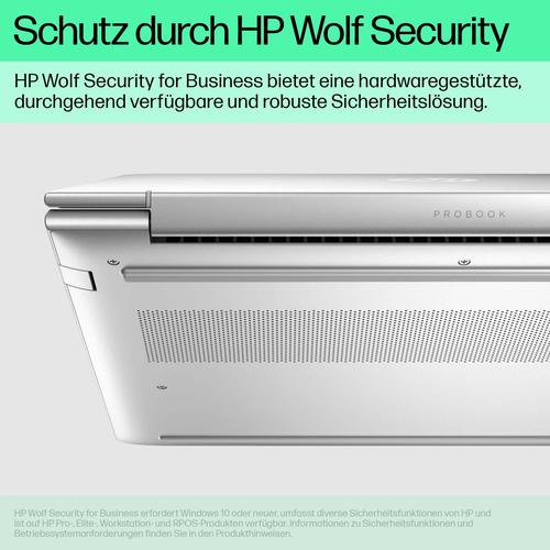 Immagine prodotto HP ProBook 460 G11 (16", 16 GB, 512 GB, DE)