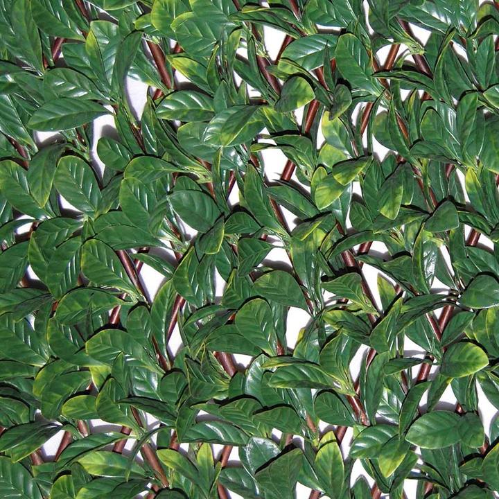 Image du produit Tenax Divy 3D X-Tens (200 cm)