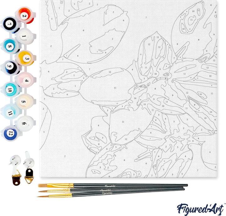 Immagine prodotto Figured'Art Mini Kit da Dipingere con i Numeri con Cornice - Foliage 2