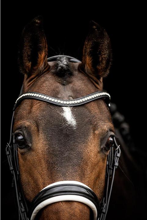 Produktbild Anky Reiterzubehör
