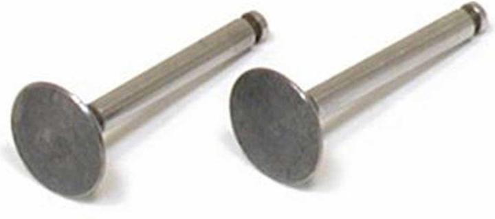 Immagine prodotto Saito valvola (in & out, pr)