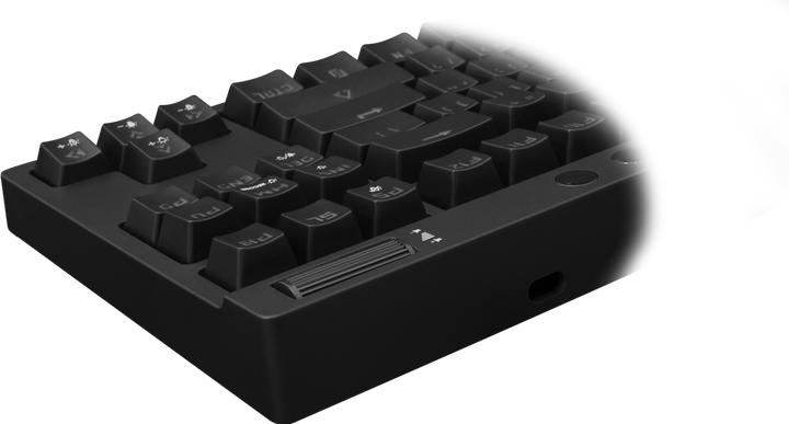 Actual product image White Shark ESL-K1 Red switch (KODACHI) (USA, Cable)