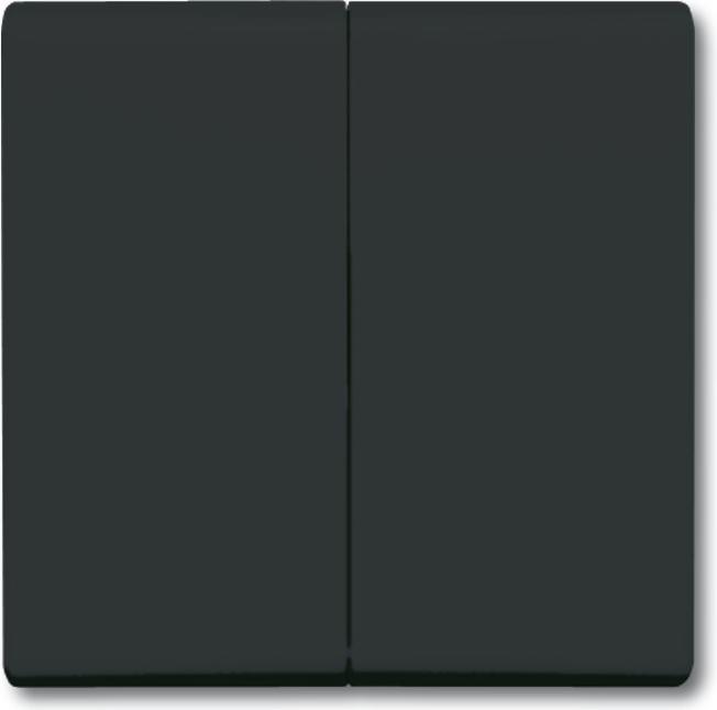 Anthracite RAL number: 7021