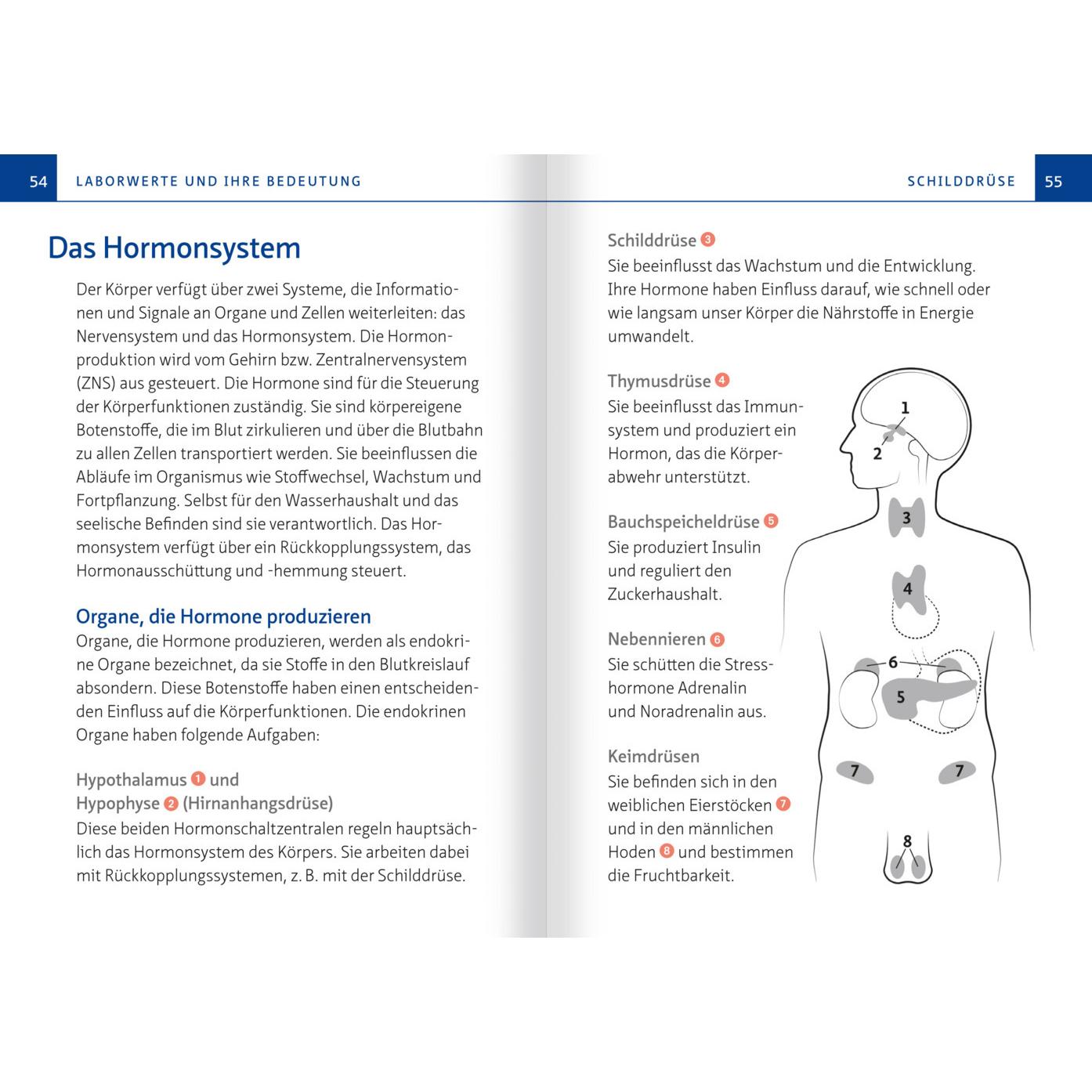 Thumbnail - Laborwerte verstehen. Kompakt-Ratgeber, Ratgeber von Maria Lohmann