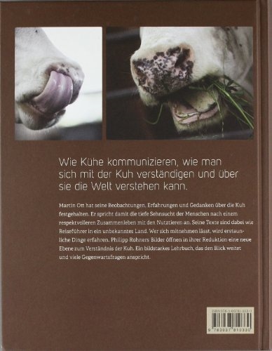 Produktbild Kühe verstehen (Deutsch, Martin Ott, 2023)