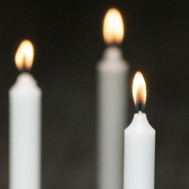 Image du produit Balthasar Naturally Green (4 pcs)