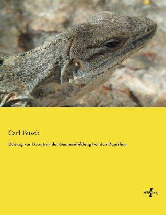 Produktbild Beitrag zur Kenntnis der Gaumenbildung bei den Reptilien (Carl Busch, 2014)