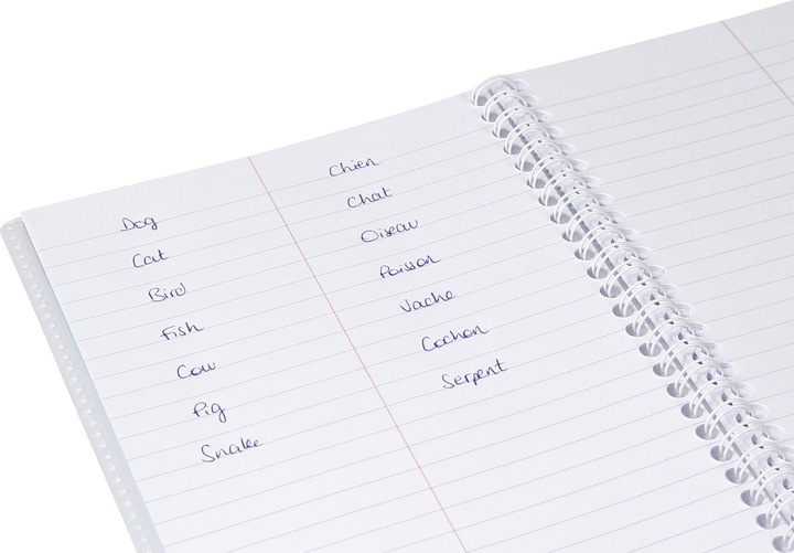 Actual product image Clairefontaine Vokabelheft Koverbook (A1, Lined)