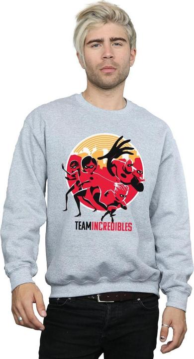Actual product image Disney Mens Incredibles 2 Team Incredibles Sweatshirt (M)