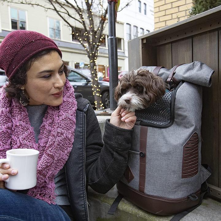 Produktbild Kurgo Hunderucksack K9 Meliert