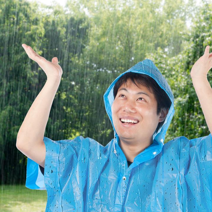 Actual product image Relaxdays 2x mackintosh