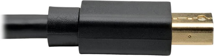 Actual product image Eaton Mini DisplayPort to DisplayPort Adapter Cable M/M 4K 60Hz Black 6ft. 1.8m (1.83 m, DisplayPort)