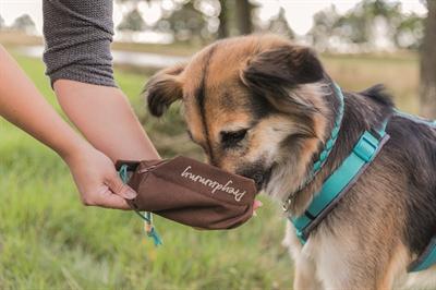 Produktbild Trixie Preydummy (Apportieren, Wurfspielzeug Hund)