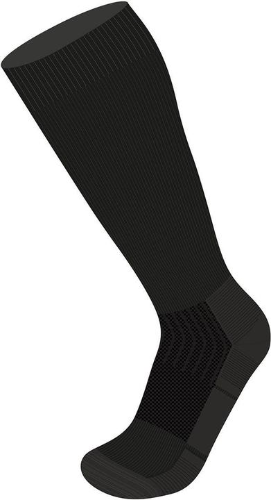 Actual product image Wapiti W09 Silk Race Sock (42 - 44)