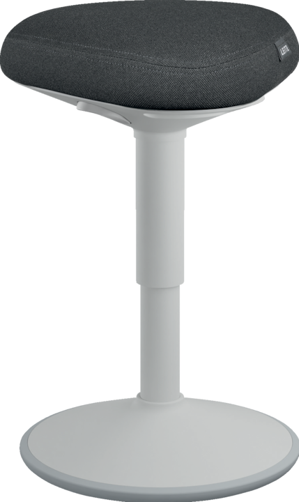 Image du produit Leitz Ergo Active