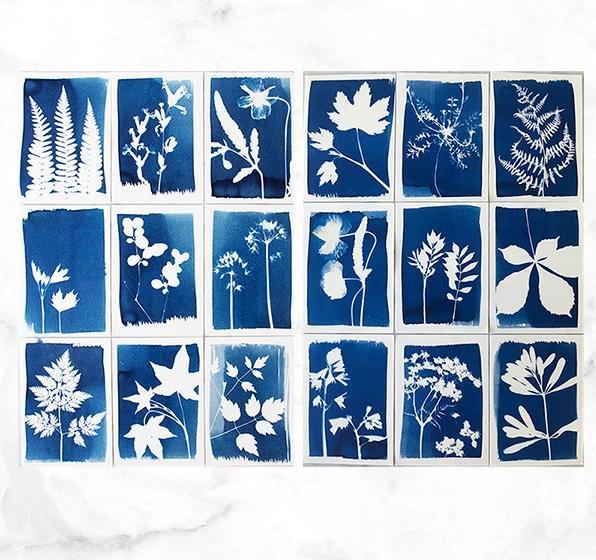 Produktbild Botanopia Cyanotype DIY Komplettset