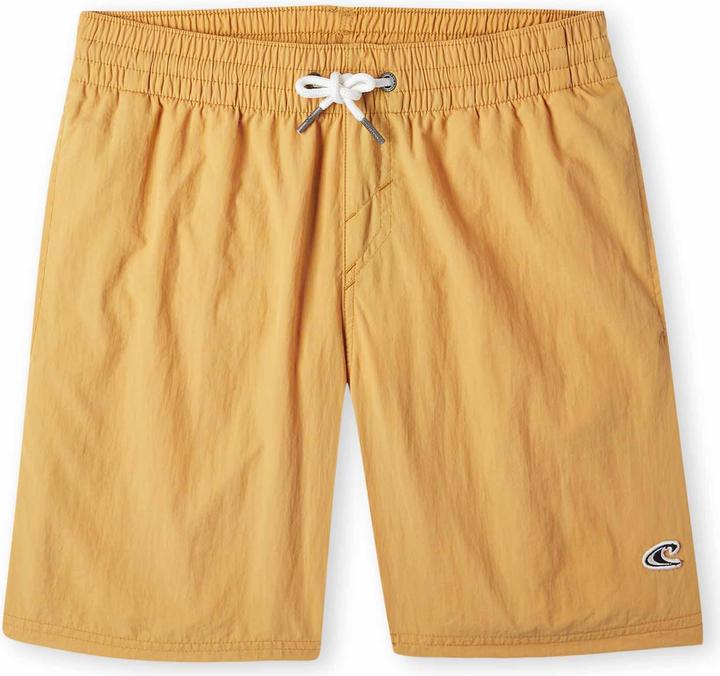 O'Neill Vert Swim Shorts
