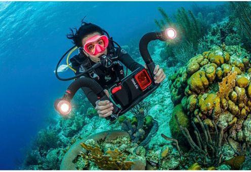 Immagine prodotto Sealife Braccio flessibile Flex & Connect