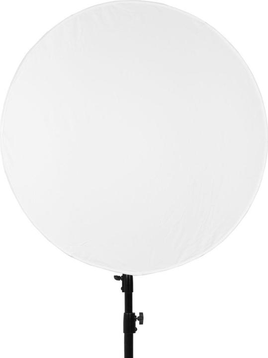 Image du produit Nanlite Lanterne pour Compac 200 (Boule de diffusion)