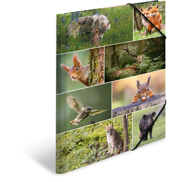 Produktbild HERMA Sammelmappe A3 Motiv (A3, 1x)