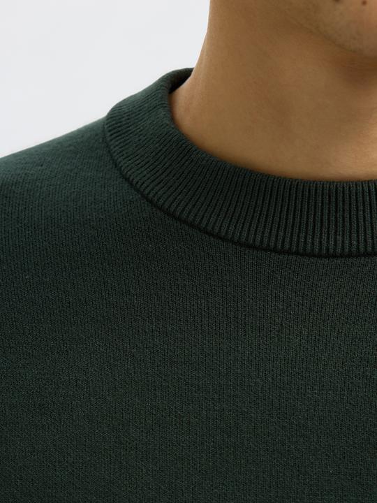 Produktbild Selected Slhteller Fn Relaxed Crew Neck Noos (M)