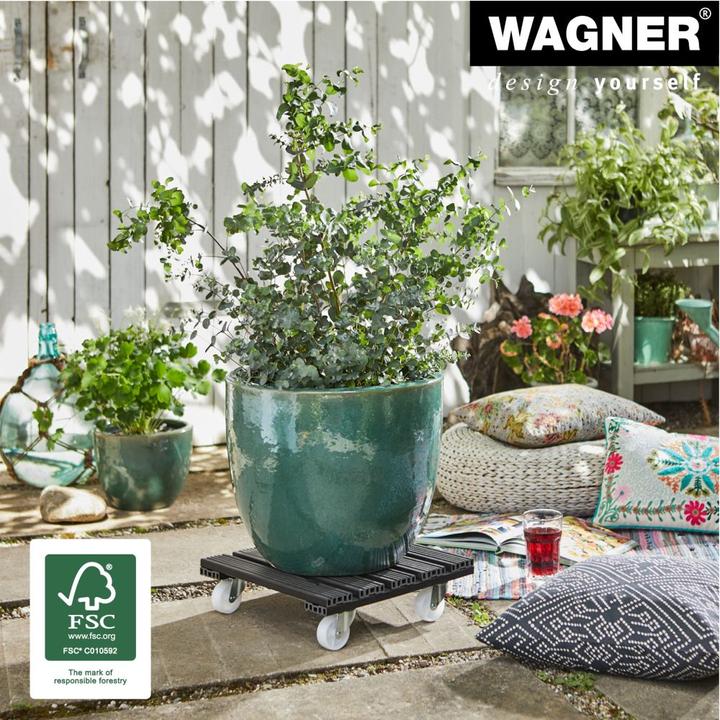 Actual product image Wagner System Plant Roller