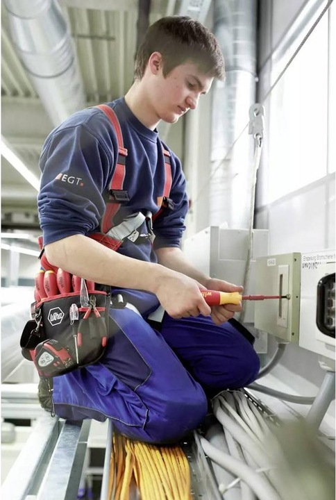 Productafbeelding Wiha Schroevendraaierbitsmagazijn LiftUp electric TORX slimBits in blisterverpakking (Torx (TX))
