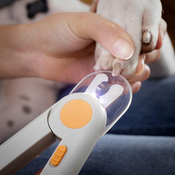 Produktbild InnovaGoods Krallenschere mit LED-Licht für Hund und Katze (Hund, Katze)