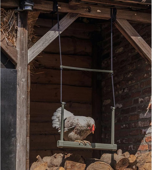 Image du produit Beeztees Mangeoire pour poules Balançoire, Gris