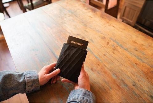 Actual product image Wandrd Travel Wallet